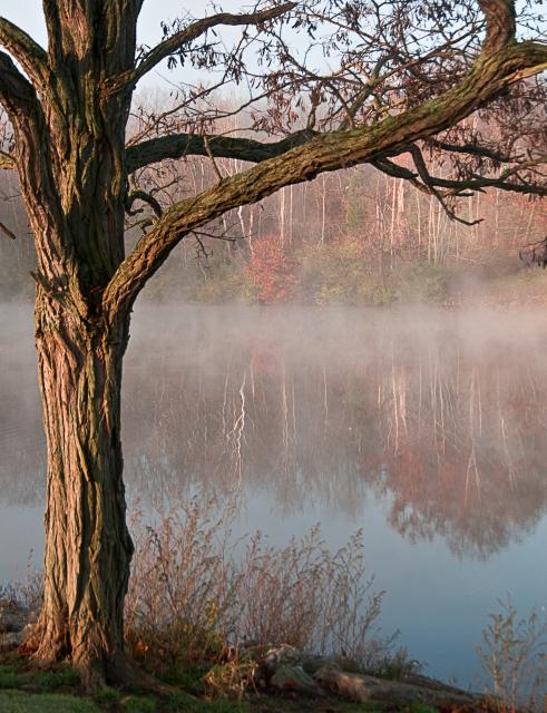 Autumn Morning