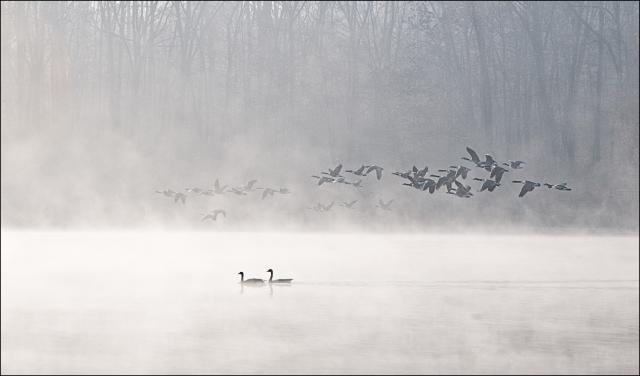 Winter At The Lake 1