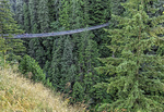 Capilano Bridge Canada
