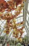 Chihuly Glass Museum Seattle