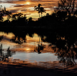 P3019323 030119 hipas web