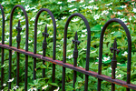 Fence - Saylor Park