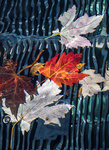 Leaves in Drain Smale Park