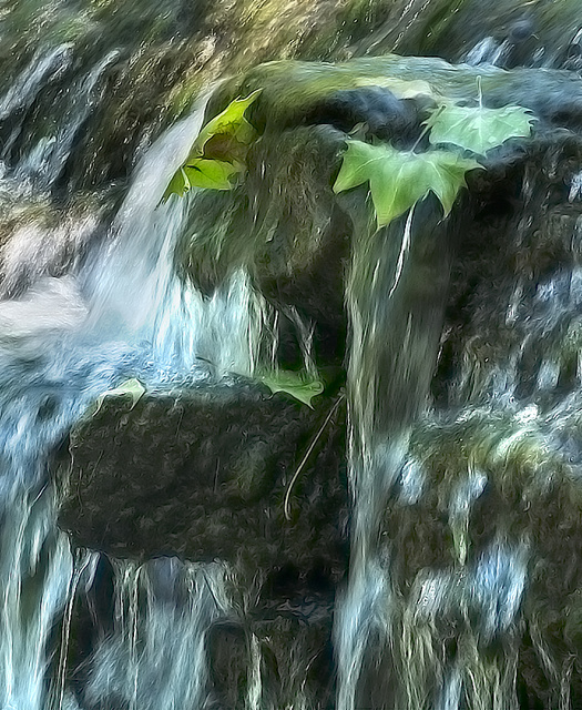 Leaves in Waterfall